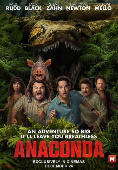 Two Must-Watch International Movies for Holiday Movie Lovers